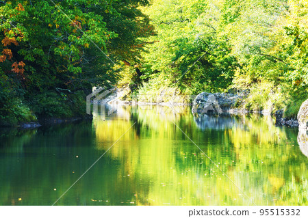 初秋瀧上溪谷<金仙峽>北海道 95515332