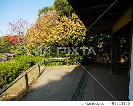 Tokyo Gyosen Park Autumn Heisei Garden (November 2020) Tokyo Gyosen Park Autumn Heisei Garden (November 2020) 95515366