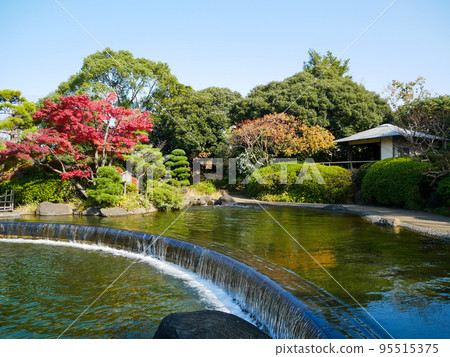 東京禦仙公園秋季平成庭園(2020年11月) 東京禦仙公園秋季平成庭園(2020年11月) 95515375