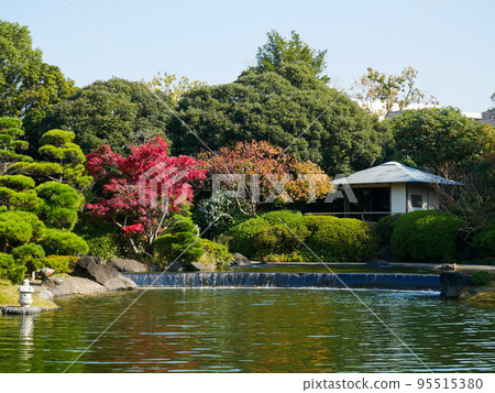 東京禦仙公園秋季平成庭園(2020年11月) 東京禦仙公園秋季平成庭園(2020年11月) 95515380