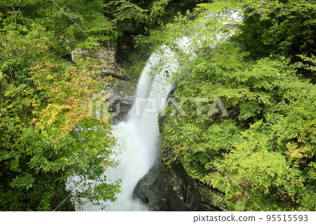 Oya, Niyodogawa-cho, Agawa-gun, Kochi Prefecture, Yasui Valley, famous for its Niyodo Blue, Mikaeri Falls over the Yasui River, which was swollen by a typhoon 95515593