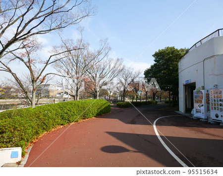 東京新佐金川心水公園紅葉（2020年11月） 95515634