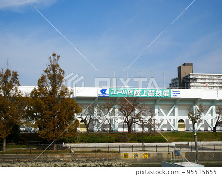 東京新佐金川心水公園紅葉（2020年11月） 95515655