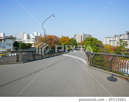 東京新佐金川心水公園紅葉（2020年11月） 95515681