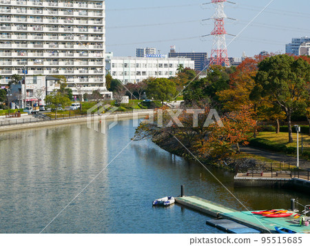 東京新佐金川心水公園紅葉(2020年11月) 東京新佐金川心水公園紅葉(2020年11月) 95515685