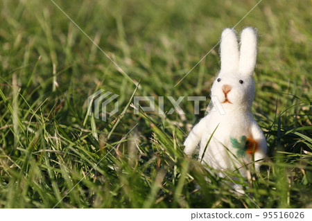 white rabbit on the lawn white rabbit on the lawn 95516026