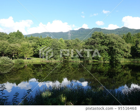 Wild Grass Garden Yamagata City 95516468