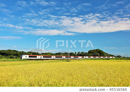 Autumn blue skies, rice fields, and the Narita Express 95516560