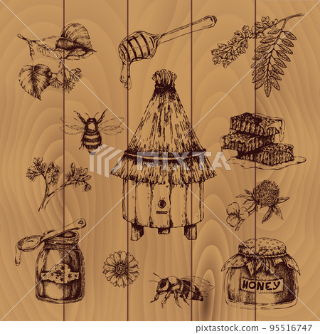 Honey Hand Drawn Illustration 95516747