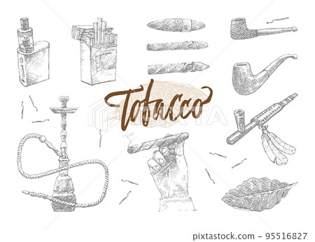 Hand Drawn Tobacco Elements Set 95516827