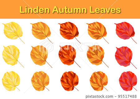 Autumn Linden Leaf Set Autumn Linden Leaf Set 95517488
