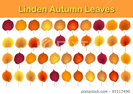 Autumn Linden Leaf Set Autumn Linden Leaf Set 95517490