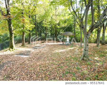 滋賀縣大津市琵琶湖玫瑰町(附近步行道) 滋賀縣大津市琵琶湖玫瑰町(附近步行道) 95517641