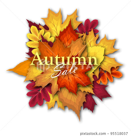 Autumn Sale Banner 95518037