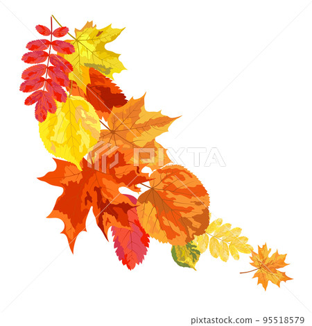 Autumn Leaves Background 95518579