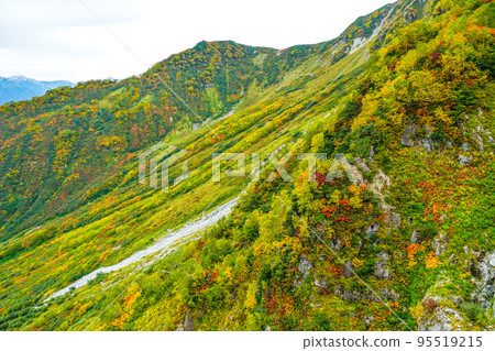 立山索道,從大觀峰眺望 立山索道,從大觀峰眺望 95519215