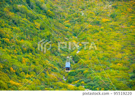 立山索道,從大觀峰眺望 立山索道,從大觀峰眺望 95519220