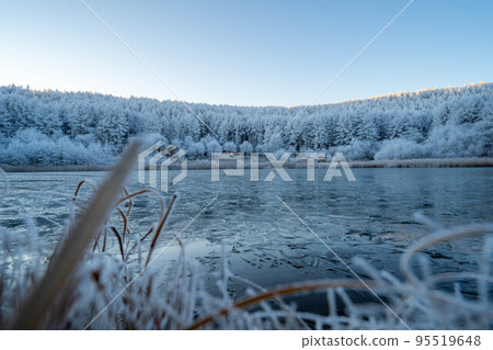 [Material of hoarfrost] Hijiri Kogen hoarfrost [Nagano Prefecture] 95519648