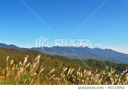 蓼科高原八岳 95519992