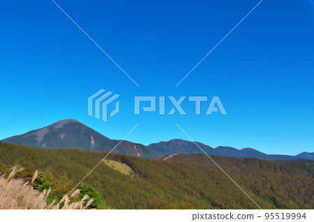 蓼科高原八岳 95519994