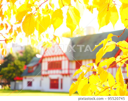 北海道的絕景 北海道知事官邸的紅葉 北海道的絕景 北海道知事官邸的紅葉 95520745