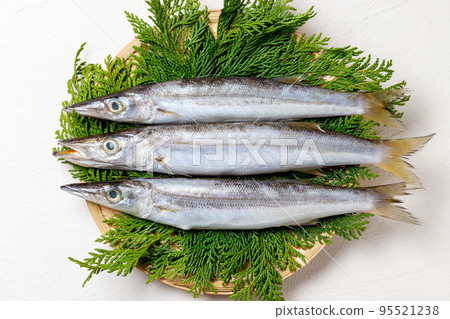 Fresh Camasse 95521238