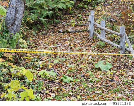 Middle of the promenade (autumn) that is now off-limits 95521388