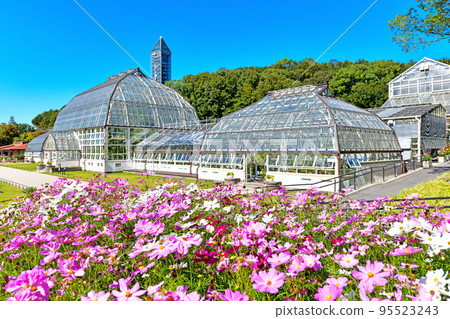 東山植物園在秋天 95523243