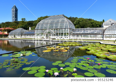 東山植物園在秋天 東山植物園在秋天 95523246