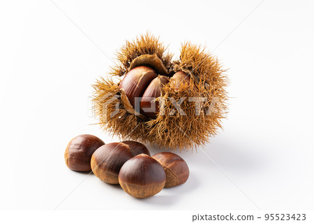 Dagger Dagger 95523423