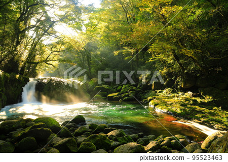 [Kumamoto Prefecture] Ray of Light at Dawn Falls in Kikuchi Valley 95523463