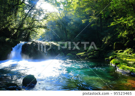 [熊本縣]菊池溪谷黎明瀑布的光芒 95523465