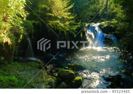 [Kumamoto Prefecture] Ryugafuchi and Tengu Falls in Kikuchi Valley 95523485
