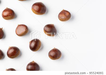 Chestnut background material Chestnut background material 95524091