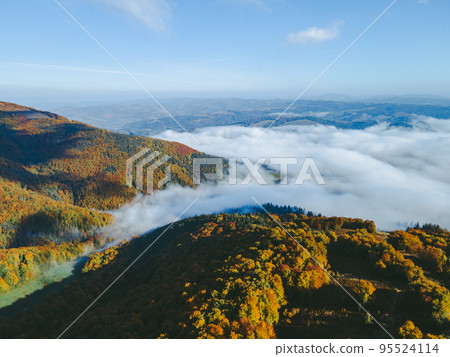 aerial landscape view of autumn carpathian mountains aerial landscape view of autumn carpathian mountains 95524114