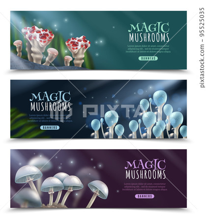 Magic Mushrooms Horizontal Banners Set 95525035