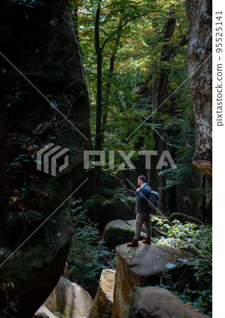 man hiker with backpack in canyon with forest 95525141