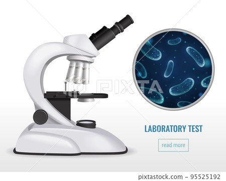 Laboratory Test Vector Illustration Laboratory Test Vector Illustration 95525192