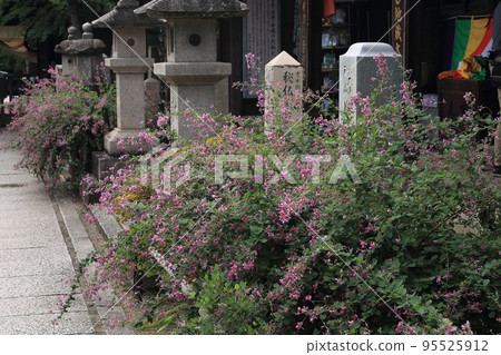 Hagi Toko-in Temple 95525912