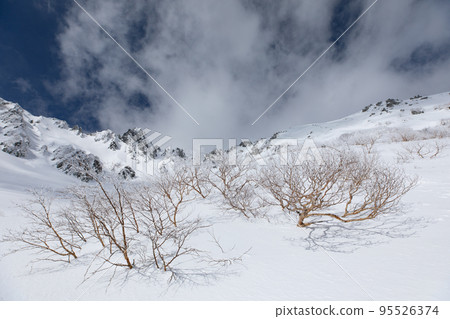 中央阿爾卑斯千疊敷馬戲團長野縣白樺和法肯山 中央阿爾卑斯千疊敷馬戲團長野縣白樺和法肯山 95526374