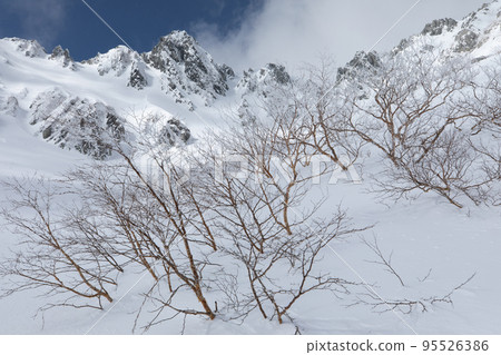 Central Alps Senjojiki Cirque Nagano Prefecture Betula rime and Mount Hoken 95526386