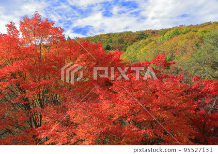 秋葉函館_赤川水壩公園 秋葉函館_赤川水壩公園 95527131