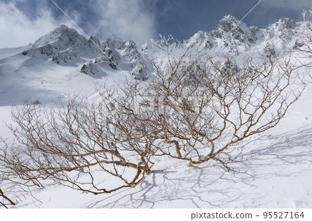 中央阿爾卑斯千疊敷馬戲團長野縣白樺被白雪覆蓋和富士山。 中央阿爾卑斯千疊敷馬戲團長野縣白樺被白雪覆蓋和富士山。 95527164
