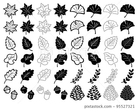 各種葉子剪影和線條圖的插圖集 各種葉子剪影和線條圖的插圖集 95527321