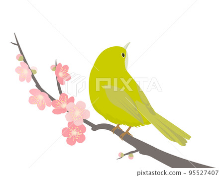 Meiro and plum 95527407