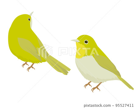 白眼 白眼 95527411