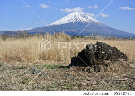 Suzuki field and Fuji 95528783