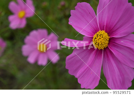  宇宙領域 95529571