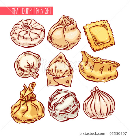 set of different dumplings 95530597