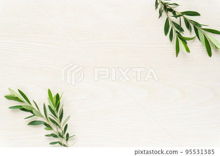 木紋上的橄欖葉背景 95531385